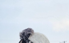 正青春免费全集在线观看高清